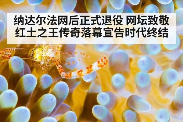 纳达尔法网后正式退役 网坛致敬红土之王传奇落幕宣告时代终结